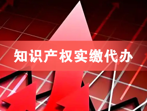 扬州知识产权实缴资本代办